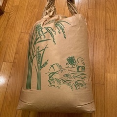 【ネット決済】お米　キヌムスメ　玄米　30kg