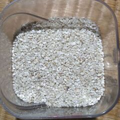 小米　5㎏　鳥の餌　飼料用　肥料用などに如何ですか！