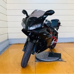 【ネット決済・配送可】1737km メガリ250r 中型★ 始動...