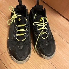 Nikeスニーカー