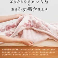 【あげます】西川 シングル 2枚合わせ毛布 ブランケット 2枚セ...