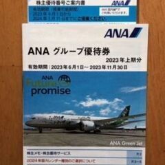 ＡＮＡ(全日本空輸)の株主優待券 ４枚　追加２