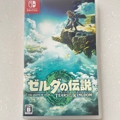 ゼルダの伝説 ティアーズオブキングダム 任天堂Switch