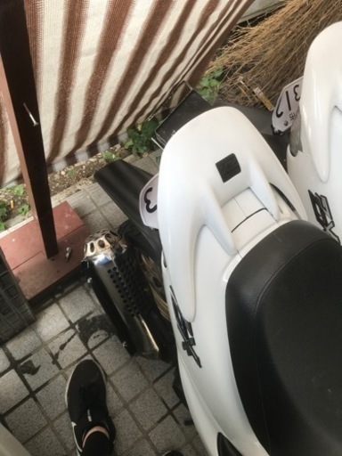 ホンダ ZX本物 ライブディオZX本物 規制前 ライブディオZXカスタム