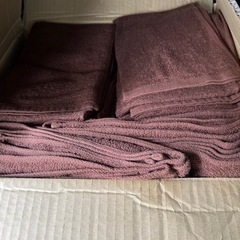 エステ・マッサージ等用品セット