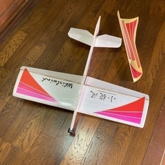 電動飛行機　小旋風　です