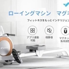 お譲り先決定！定価倍以上！ローイングマシーン　今年購入