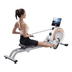 お譲り先決定！定価倍以上！ローイングマシーン　今年購入