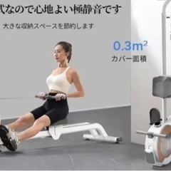 お譲り先決定！定価倍以上！ローイングマシーン　今年購入