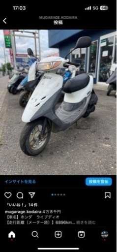 白ライブディオ