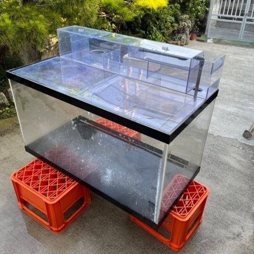 水槽セット 熱帯魚 1200×600×600アクリル | www.sman1sukawangi.sch.id