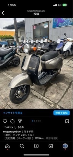 ジョルノ茶色