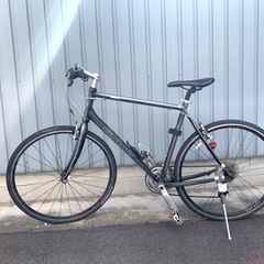 ジャイアントエスケップ　R3 Lサイズ