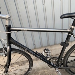 ジャイアントエスケップ　R3 Lサイズ