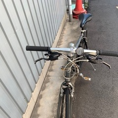 ジャイアントエスケップ　R3 Lサイズ