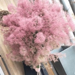 水なしで花瓶に飾れてしかもかなり長持ちな(1年どころか数年レベル...