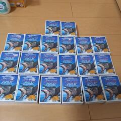 フューチャーコレクション