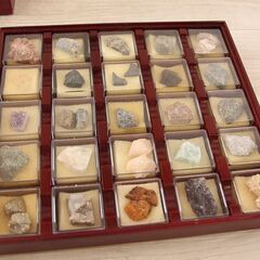 鉱石 標本 ケース入り ジェム 鉱物 宝石 原石 見本 サンプル 天然石 貴石 (R2290wY) 鉱石 標本 ケース入り ジェム 鉱物 宝石 原石 見本 サンプル 天然石