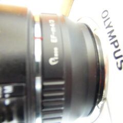 OLYMPUS E-PL1＋TAMRON 28~300/3,5~6,3 ミラーレスカメラはいかが？