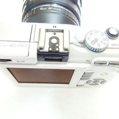 OLYMPUS   E-PL1＋TAMRON 28~300/3,5~6,3 ミラーレスカメラはいかが？
