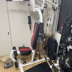 IROTEC multi home GYM