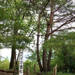 一緒に登山してくれる仲間募集してます