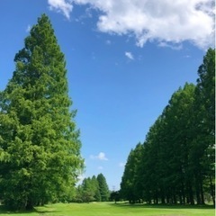 ♪一緒にラウンドしませんか♪