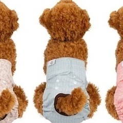 【CuteBone 】マナーオムツ  3枚セット 中小型犬用