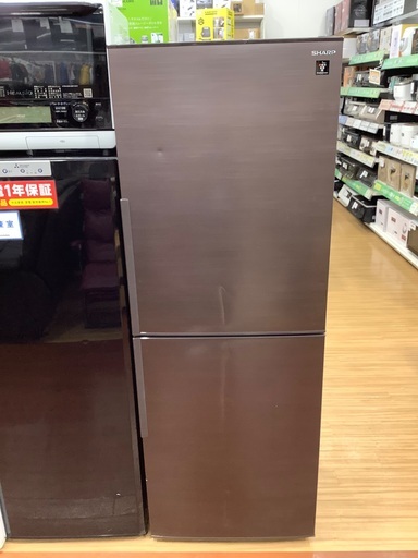 SHARP(シャープ)の2ドア冷蔵庫(2020年製)を紹介します‼︎ トレジャーファクトリーつくば店