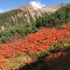 登山友達募集します