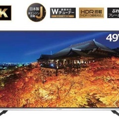 ELSONIC エルソニック 4K対応 49インチ 49型 ECC-TU49R3 2018年