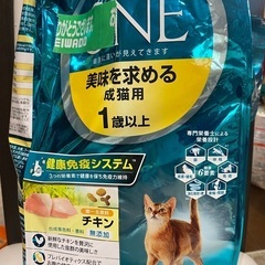 猫フード（ご飯）500円