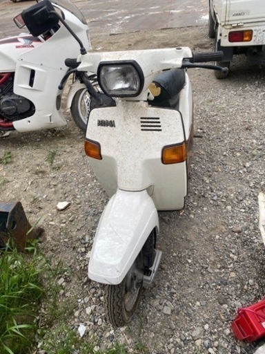 ベルーガ ベルーガ50 旧車 ヴィテージバイク | aprendamosingles.com.py