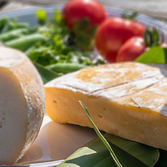 沖縄生まれのチーズと泡盛の会の画像
