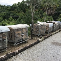 薪ストーブの薪　ナラ、クヌギ全て広葉樹です。現在残り８パレットです