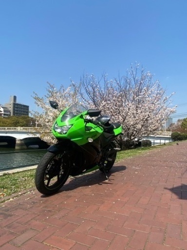 その他 ninja250r