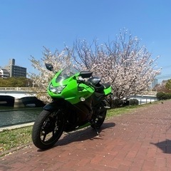 【ネット決済】ninja250r 