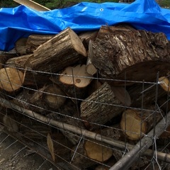 薪に如何ですか、広葉樹ナラクヌギの玉切りです。現在残り60玉ぐらいです