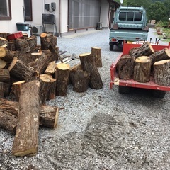 薪に如何ですか、広葉樹ナラクヌギの玉切りです。現在残り60玉ぐらいです