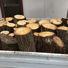 薪に如何ですか、広葉樹ナラクヌギの玉切りです。現在残り60玉ぐらいです