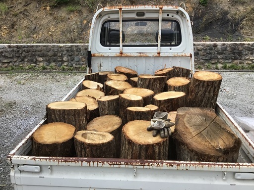 薪に如何ですか、広葉樹ナラクヌギの玉切りです。現在残り６０玉ぐらいです