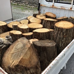 薪に如何ですか、広葉樹ナラクヌギの玉切りです。現在残り60玉ぐらいです