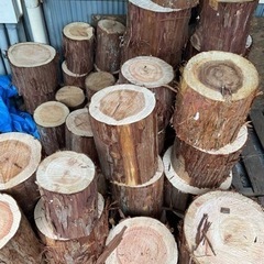 【丸太・原木】単価500円　針葉樹　薪販売もしております。