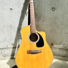 playtech アコースティックギター D-7EC