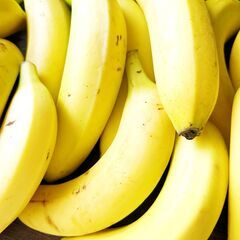 【北区王子】～バナナ収穫体験～｜2023年7月9日(日)