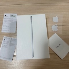 iPad mini 5世代　Wi-Fiモデル　256GB