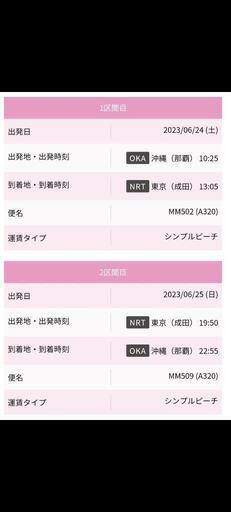 往復航空券（6/24那覇空港発→成田空港着 6/25成田空港発→那覇空港着）