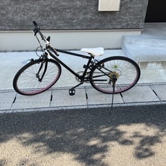 山口市　自転車