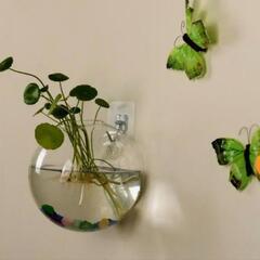 壁掛け花瓶  金魚鉢