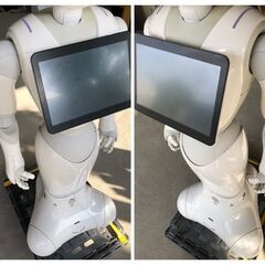 専用衣装付【美品】SoftBank Pepper AIロボット ソフトバンク ペッパー 